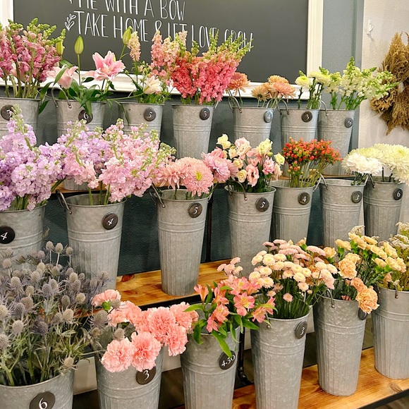 Meet your Posher, Sophie - Picture 1 of 1